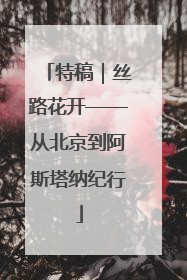 特稿｜丝路花开——从北京到阿斯塔纳纪行
