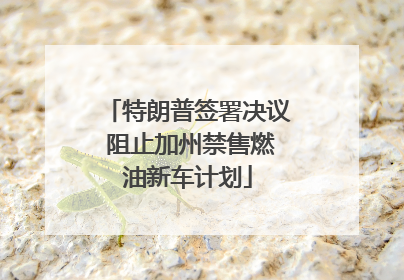 特朗普签署决议 阻止加州禁售燃油新车计划