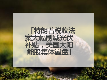 特朗普税收法案大幅削减光伏补贴，美国太阳能股集体崩盘