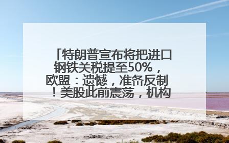 特朗普宣布将把进口钢铁关税提至50%，欧盟：遗憾，准备反制！美股此前震荡，机构：美元正进入熊市