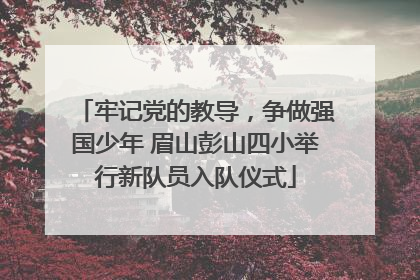 牢记党的教导，争做强国少年 眉山彭山四小举行新队员入队仪式