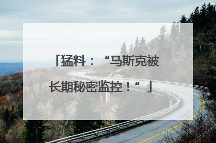 猛料：“马斯克被长期秘密监控！”