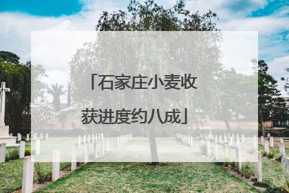 石家庄小麦收获进度约八成
