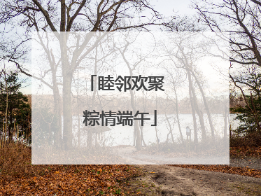 睦邻欢聚 粽情端午