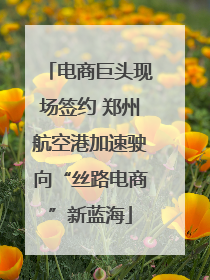 电商巨头现场签约 郑州航空港加速驶向“丝路电商”新蓝海