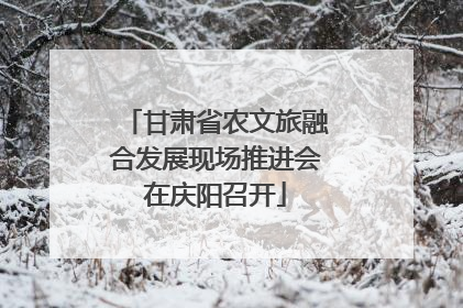 甘肃省农文旅融合发展现场推进会在庆阳召开