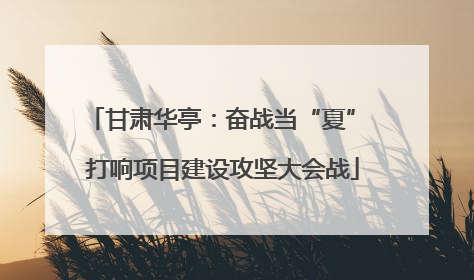 甘肃华亭：奋战当“夏” 打响项目建设攻坚大会战