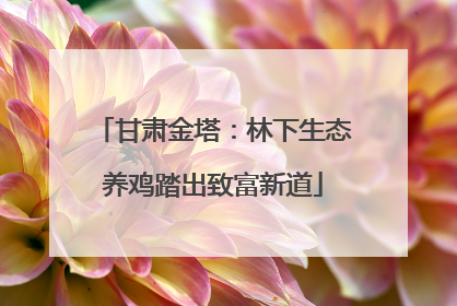 甘肃金塔：林下生态养鸡踏出致富新道