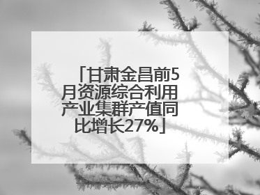 甘肃金昌前5月资源综合利用产业集群产值同比增长27%