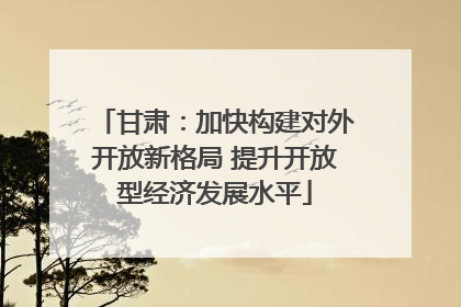 甘肃：加快构建对外开放新格局 提升开放型经济发展水平