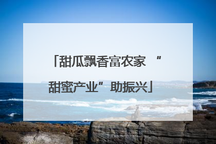 甜瓜飘香富农家 “甜蜜产业”助振兴