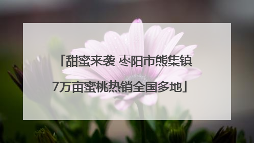 甜蜜来袭 枣阳市熊集镇7万亩蜜桃热销全国多地