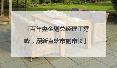 百年央企副总经理王秀峰，履新直辖市副市长