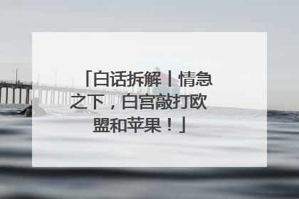 白话拆解丨情急之下，白宫敲打欧盟和苹果！