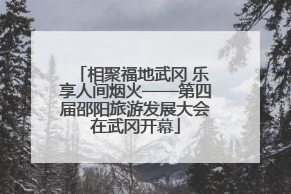 相聚福地武冈 乐享人间烟火——第四届邵阳旅游发展大会在武冈开幕