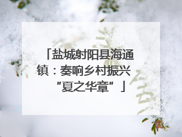 盐城射阳县海通镇：奏响乡村振兴“夏之华章”