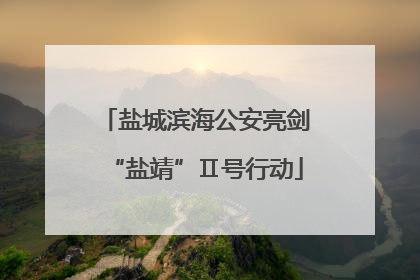 盐城滨海公安亮剑“盐靖”Ⅱ号行动