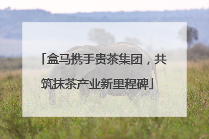 盒马携手贵茶集团，共筑抹茶产业新里程碑