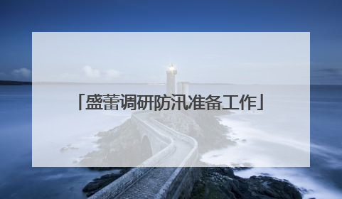 盛蕾调研防汛准备工作