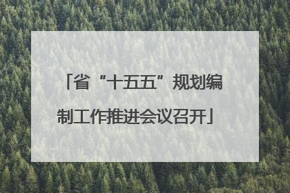 省“十五五”规划编制工作推进会议召开
