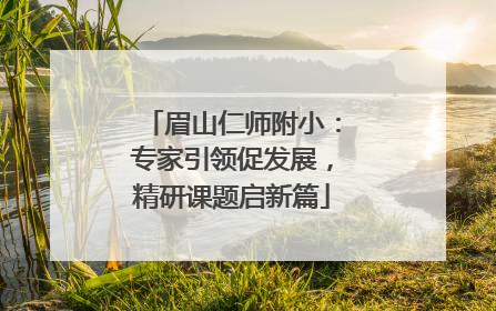 眉山仁师附小：专家引领促发展，精研课题启新篇