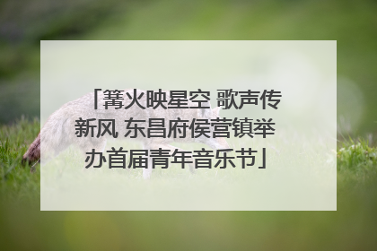 篝火映星空 歌声传新风 东昌府侯营镇举办首届青年音乐节