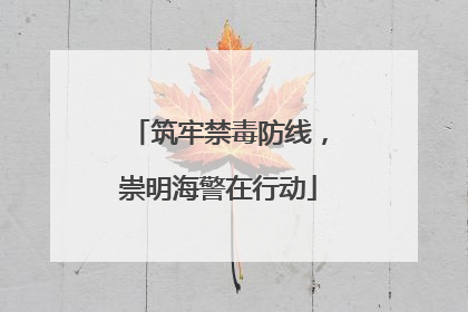 筑牢禁毒防线，崇明海警在行动