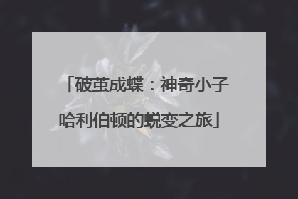 破茧成蝶：神奇小子哈利伯顿的蜕变之旅