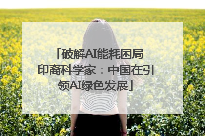 破解AI能耗困局 印裔科学家：中国在引领AI绿色发展