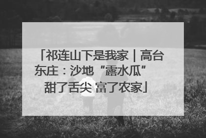 祁连山下是我家｜高台东庄：沙地“露水瓜” 甜了舌尖 富了农家