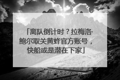 离队倒计时？拉梅洛·鲍尔取关黄蜂官方账号，快船或是潜在下家