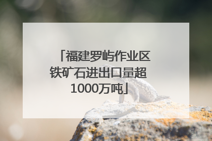 福建罗屿作业区铁矿石进出口量超1000万吨