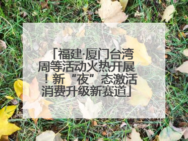 福建·厦门台湾周等活动火热开展！新“夜”态激活消费升级新赛道