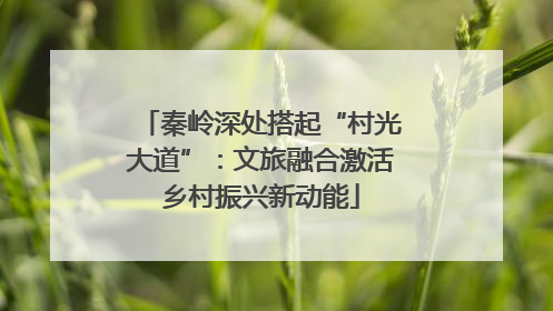 秦岭深处搭起“村光大道”：文旅融合激活乡村振兴新动能