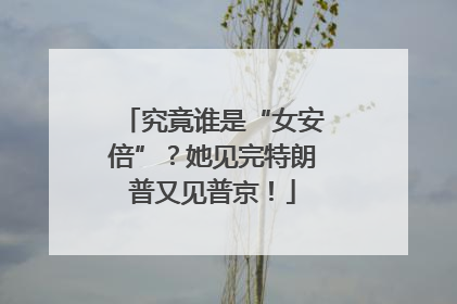 究竟谁是“女安倍”？她见完特朗普又见普京！