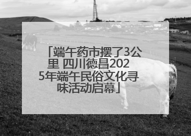 端午药市摆了3公里 四川德昌2025年端午民俗文化寻味活动启幕