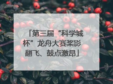 第三届“科学城杯”龙舟大赛桨影翻飞、鼓点激昂