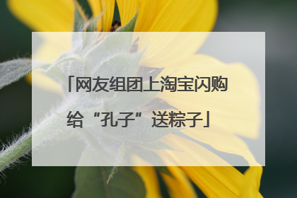 网友组团上淘宝闪购给“孔子”送粽子