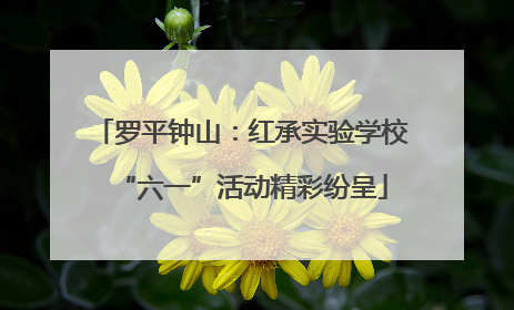 罗平钟山：红承实验学校“六一”活动精彩纷呈