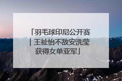 羽毛球印尼公开赛｜王祉怡不敌安洗莹 获得女单亚军