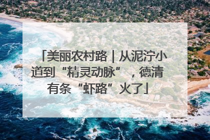 美丽农村路｜从泥泞小道到“精灵动脉”，德清有条“虾路”火了