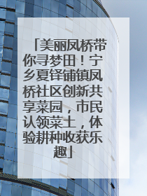 美丽凤桥带你寻梦田！宁乡夏铎铺镇凤桥社区创新共享菜园，市民认领菜土，体验耕种收获乐趣
