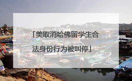 美取消哈佛留学生合法身份行为被叫停