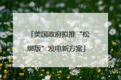 美国政府拟推“松绑版”发电新方案