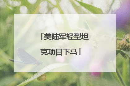 美陆军轻型坦克项目下马