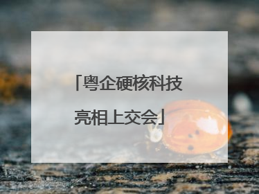 粤企硬核科技亮相上交会