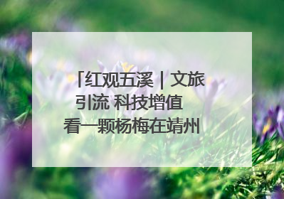 红观五溪｜文旅引流 科技增值 看一颗杨梅在靖州的“商业觉醒”