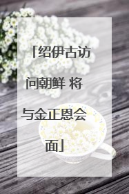绍伊古访问朝鲜 将与金正恩会面