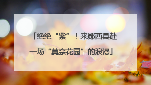 绝绝“紫”！来郧西县赴一场“莫奈花园”的浪漫