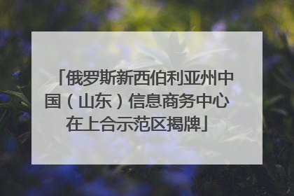 俄罗斯新西伯利亚州中国（山东）信息商务中心在上合示范区揭牌